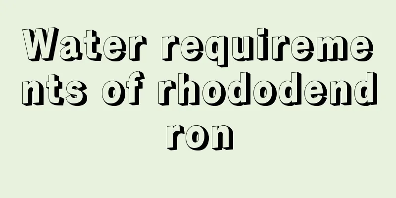 Water requirements of rhododendron