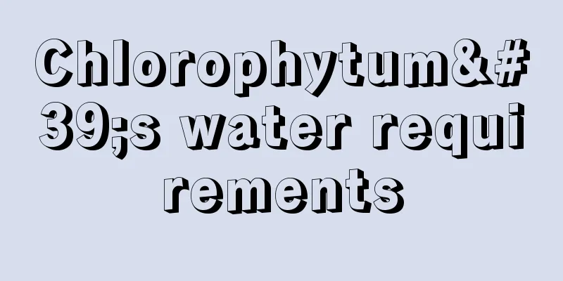 Chlorophytum's water requirements