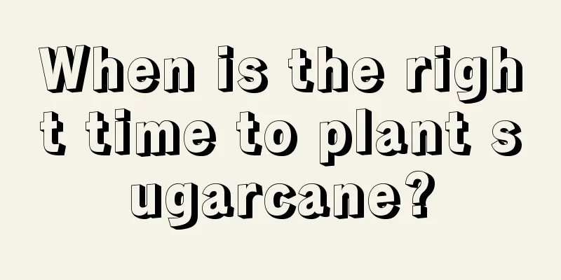 When is the right time to plant sugarcane?