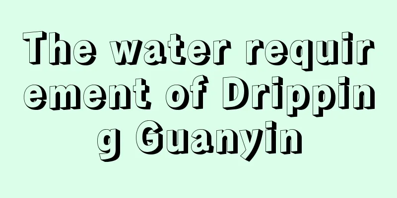 The water requirement of Dripping Guanyin