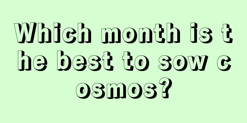 Which month is the best to sow cosmos?