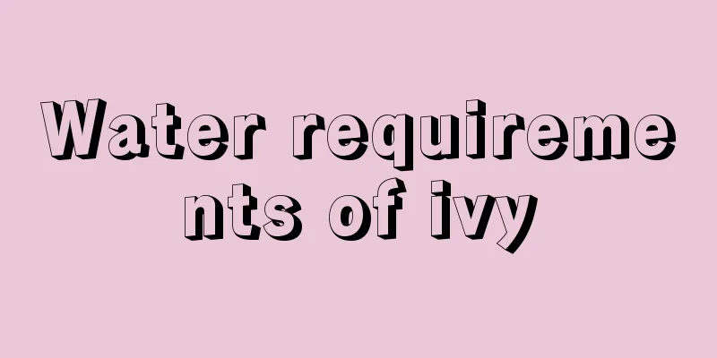 Water requirements of ivy