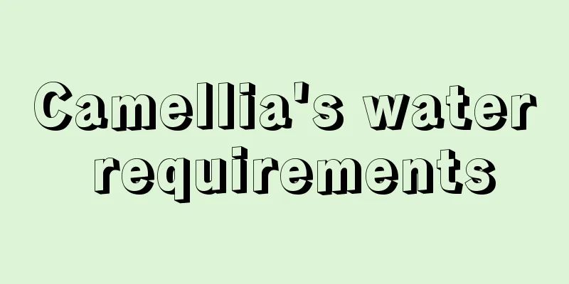 Camellia's water requirements