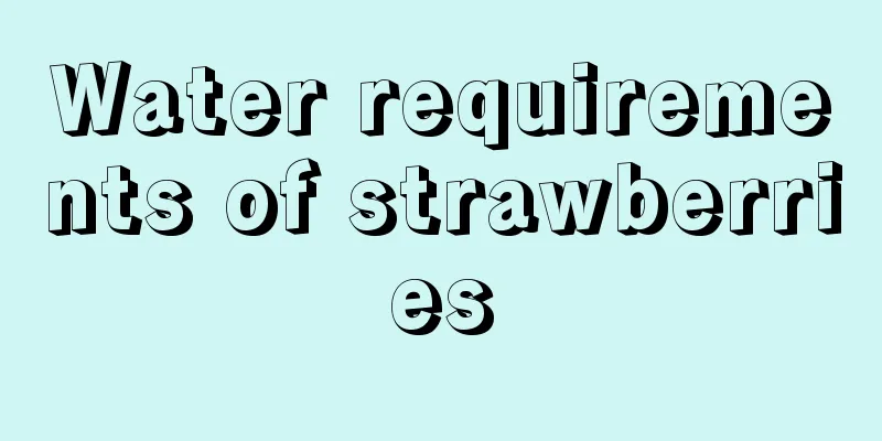 Water requirements of strawberries