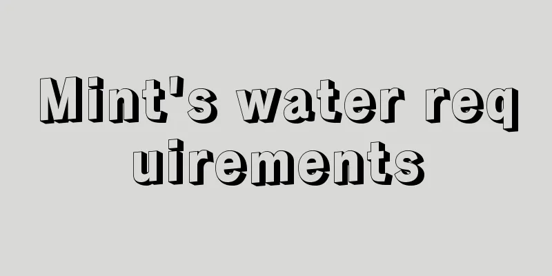 Mint's water requirements