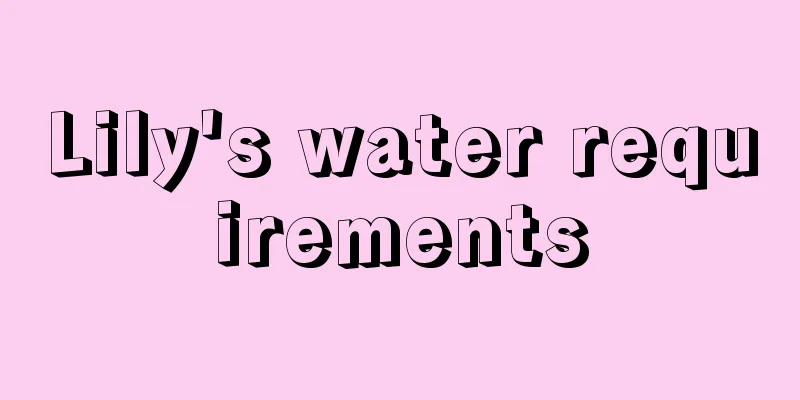 Lily's water requirements