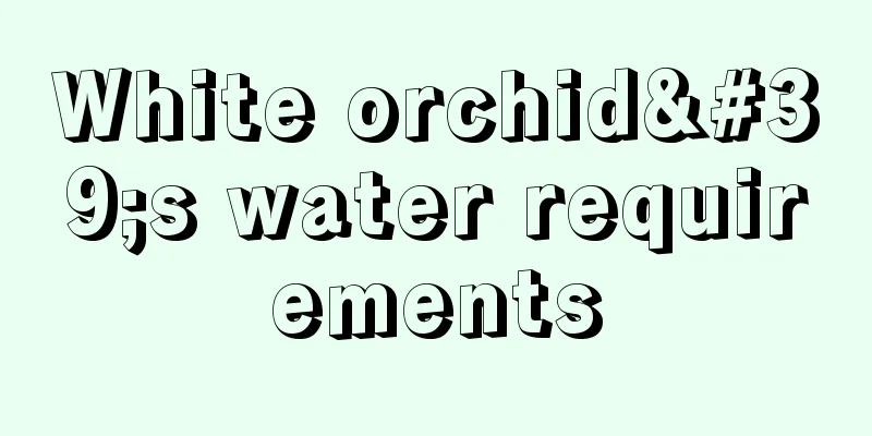 White orchid's water requirements