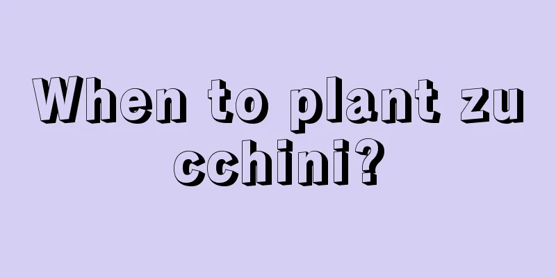 When to plant zucchini?