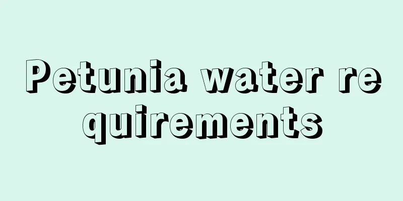 Petunia water requirements