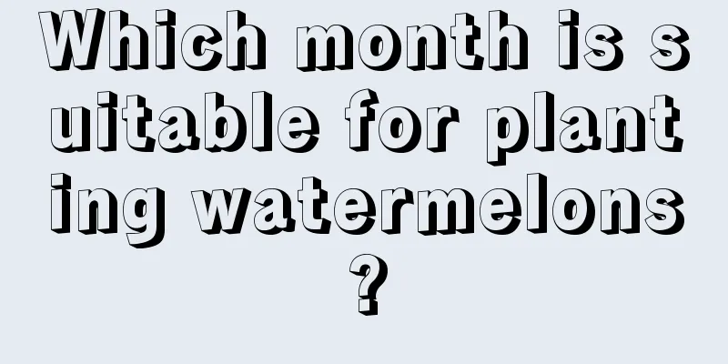 Which month is suitable for planting watermelons?