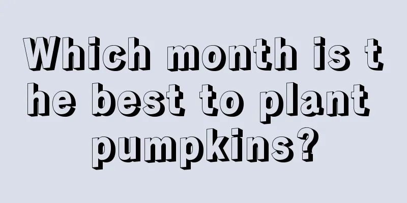 Which month is the best to plant pumpkins?