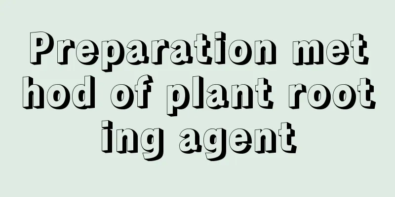 Preparation method of plant rooting agent