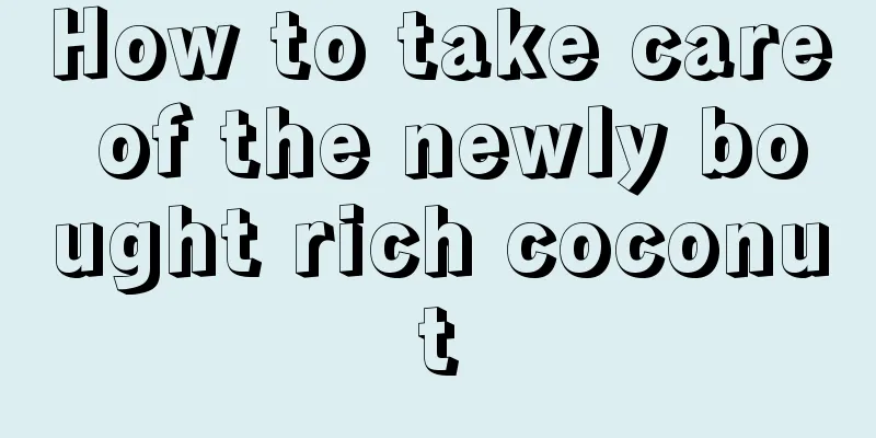 How to take care of the newly bought rich coconut