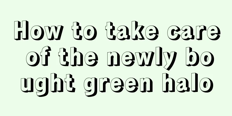 How to take care of the newly bought green halo