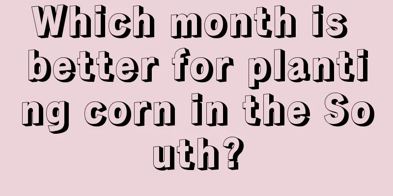 Which month is better for planting corn in the South?