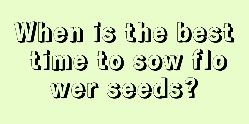 When is the best time to sow flower seeds?