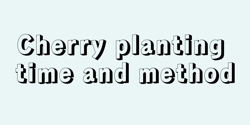 Cherry planting time and method