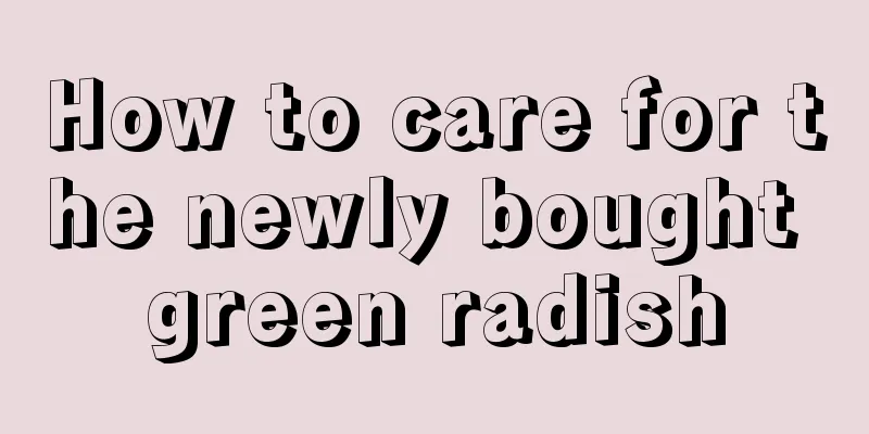 How to care for the newly bought green radish