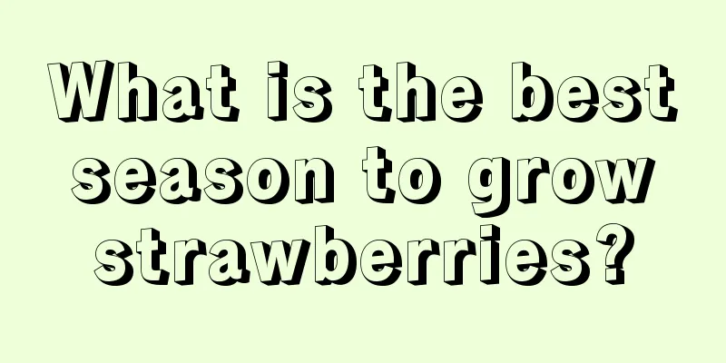 What is the best season to grow strawberries?