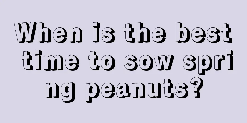 When is the best time to sow spring peanuts?