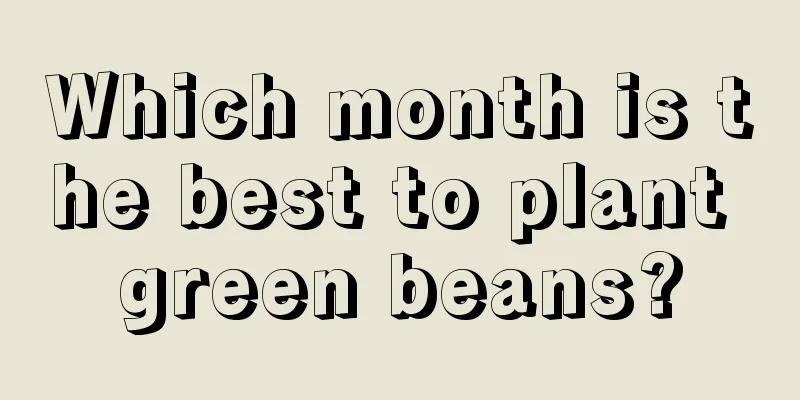 Which month is the best to plant green beans?