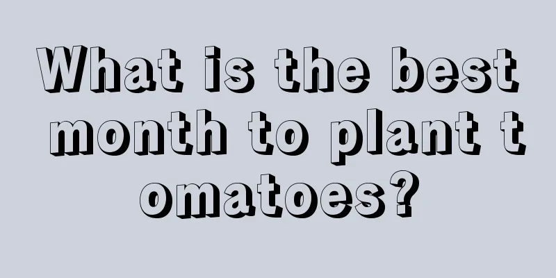 What is the best month to plant tomatoes?