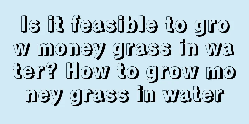 Is it feasible to grow money grass in water? How to grow money grass in water