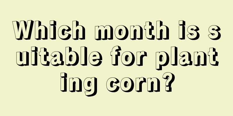 Which month is suitable for planting corn?