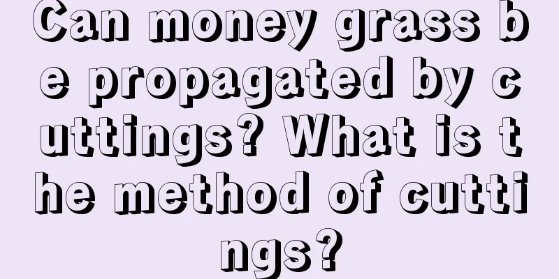 Can money grass be propagated by cuttings? What is the method of cuttings?