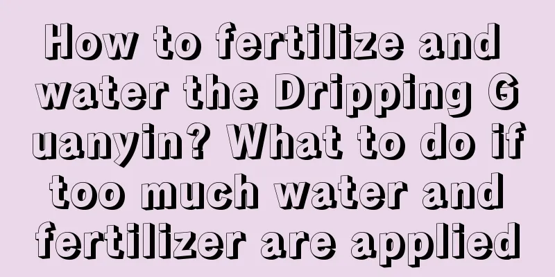 How to fertilize and water the Dripping Guanyin? What to do if too much water and fertilizer are applied