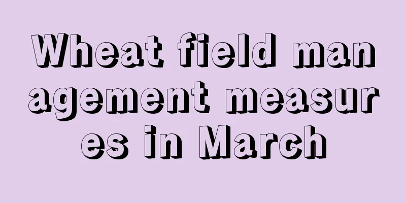 Wheat field management measures in March