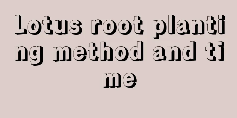 Lotus root planting method and time