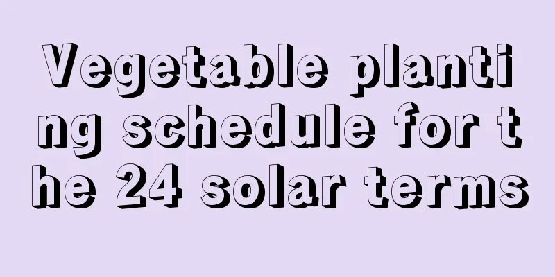 Vegetable planting schedule for the 24 solar terms