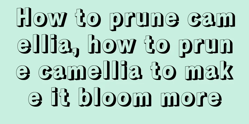 How to prune camellia, how to prune camellia to make it bloom more