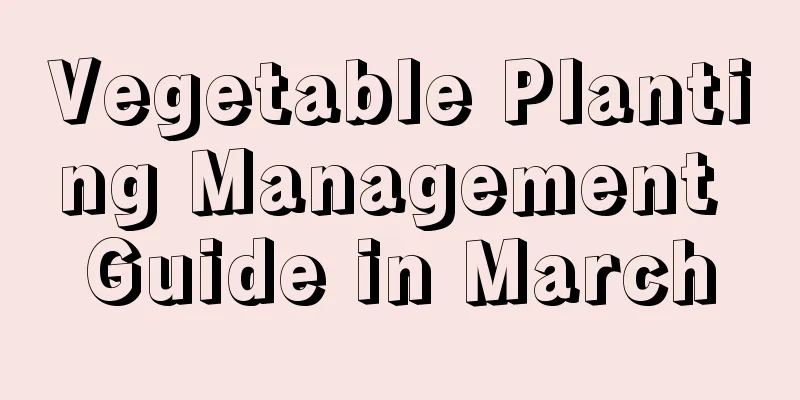 Vegetable Planting Management Guide in March