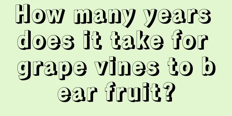 How many years does it take for grape vines to bear fruit?