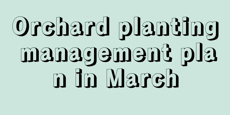 Orchard planting management plan in March