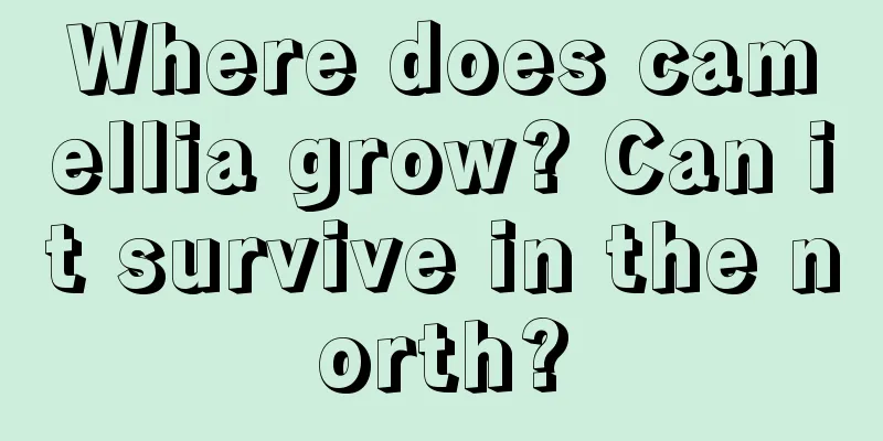 Where does camellia grow? Can it survive in the north?