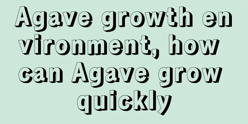 Agave growth environment, how can Agave grow quickly