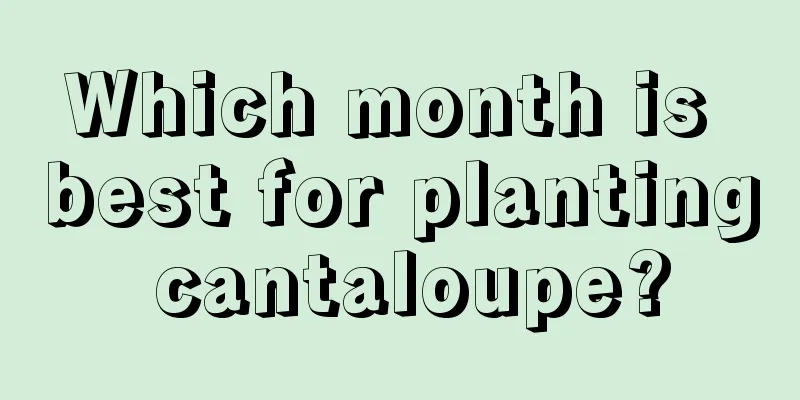 Which month is best for planting cantaloupe?