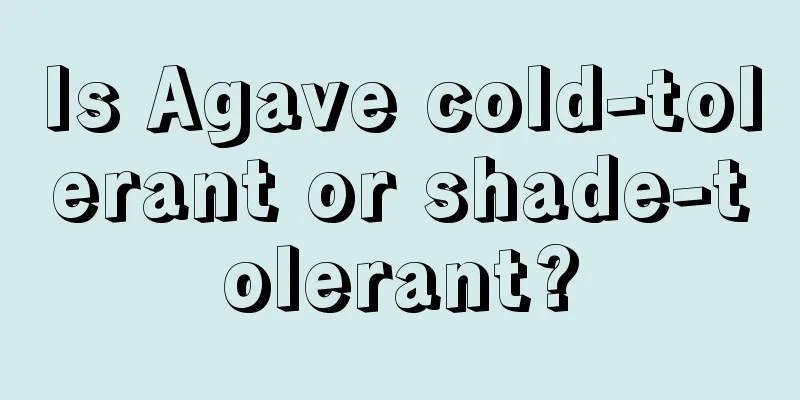 Is Agave cold-tolerant or shade-tolerant?