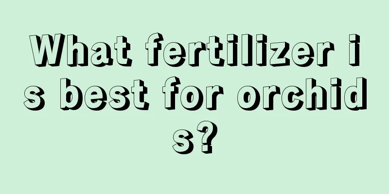 What fertilizer is best for orchids?