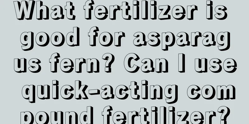 What fertilizer is good for asparagus fern? Can I use quick-acting compound fertilizer?