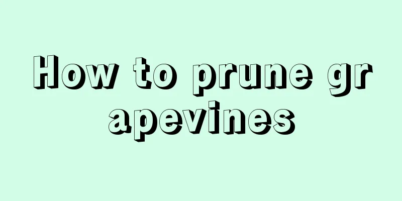 How to prune grapevines