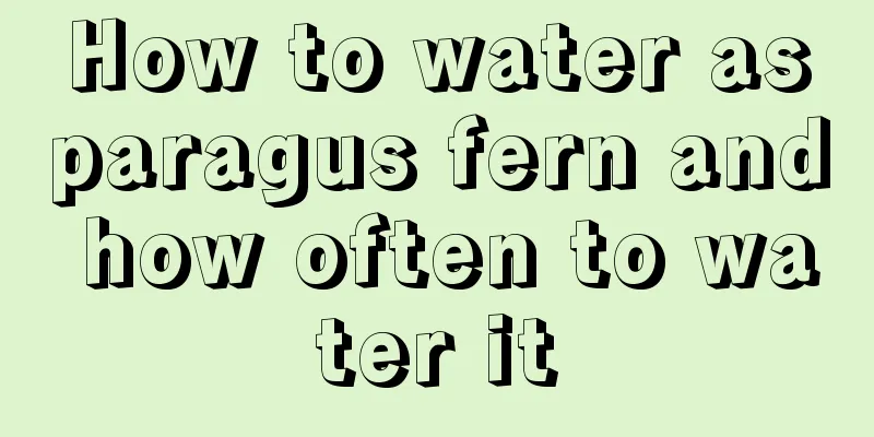 How to water asparagus fern and how often to water it