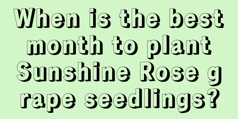 When is the best month to plant Sunshine Rose grape seedlings?