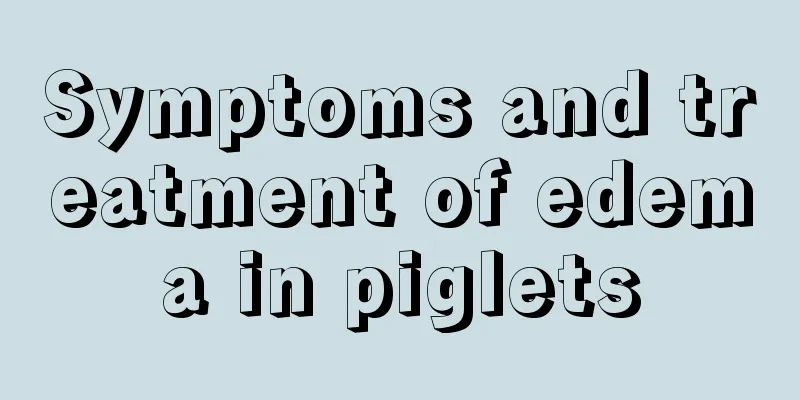 Symptoms and treatment of edema in piglets