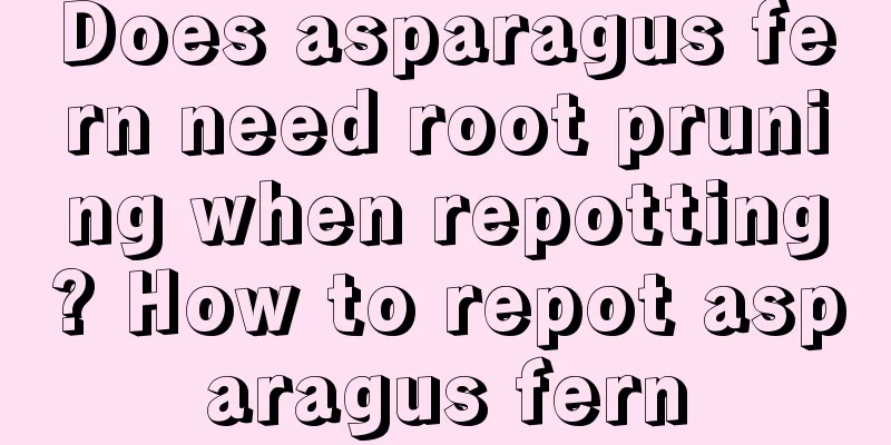 Does asparagus fern need root pruning when repotting? How to repot asparagus fern