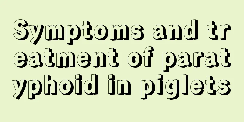 Symptoms and treatment of paratyphoid in piglets