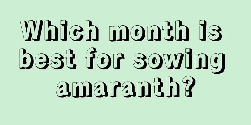 Which month is best for sowing amaranth?